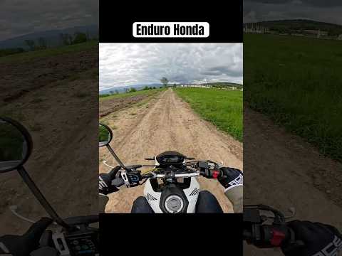 ENDURO HONDA thumbnail