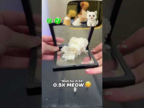 Where’s the CAT?? thumbnail