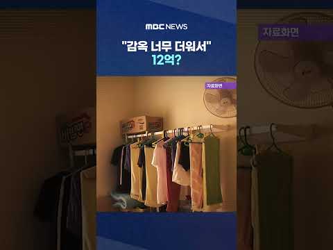 "감옥 너무 더워서" 12억?.."호텔인 줄 아냐" 발칵 #Shorts (MBC뉴스) thumbnail
