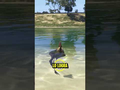 ¿Qué ANIMAL puede NADAR en GTA 5? #gta #gta5 thumbnail