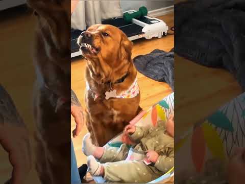 #love #baby thumbnail