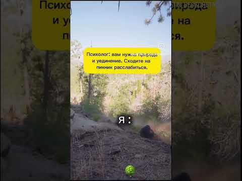 Пикник #юмор #топ #тренд #рек thumbnail
