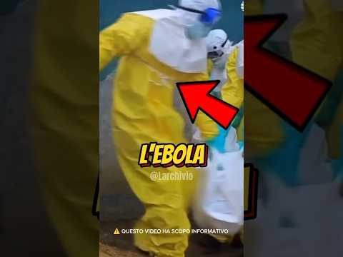 IL VIRUS EBOLA È TORNATO - DOBBIAMO PREOCCUPARCI? 😱#curiosità #informative thumbnail