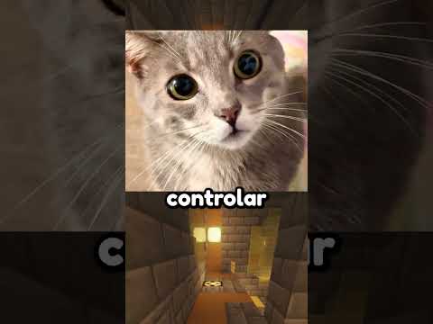 Asi ven el mundo los animales 😮 thumbnail
