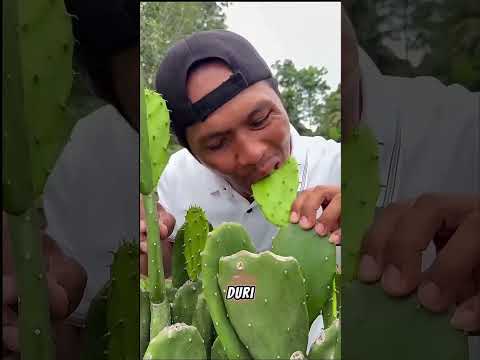 🌵😱 Jangan Pernah Makan Kaktus Begini di Gurun… #shortsviral thumbnail