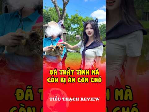 Đã thất tình mà còn bị ăn cơm chó #shorts thumbnail