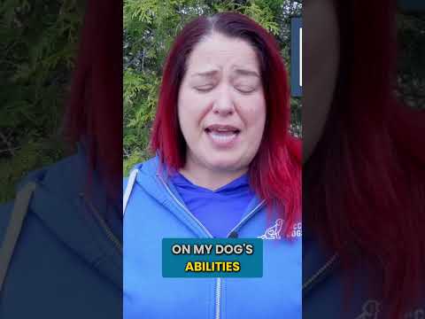 When Should You STOP Your Dog Training Session? thumbnail