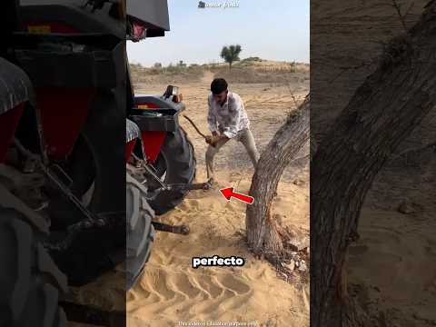 Este Árbol Era Más Fuerte Que El Tractor 😮 thumbnail
