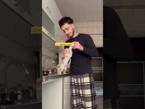 لو متزوج وعندي طفلين ما بتعذب هل قد 😭😂# قط صغير # ريكو thumbnail