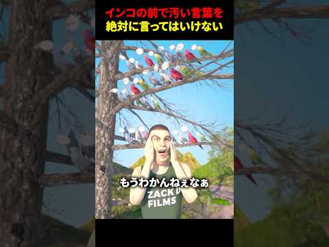 インコの前で汚い言葉を絶対に言ってはいけない理由 #海外 #shorts thumbnail