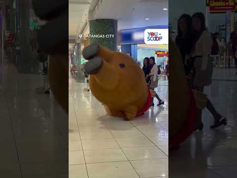 Mascot sa isang mall na nag-handstand, trending online | YouScoop+ thumbnail