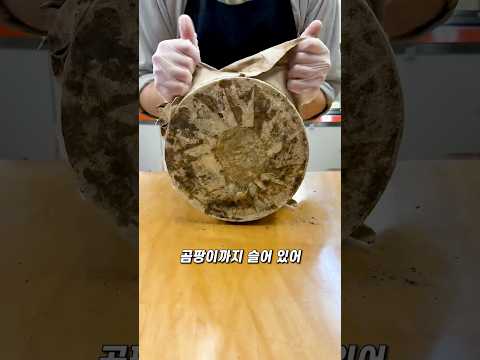 곰팡이 치즈의 반전 thumbnail