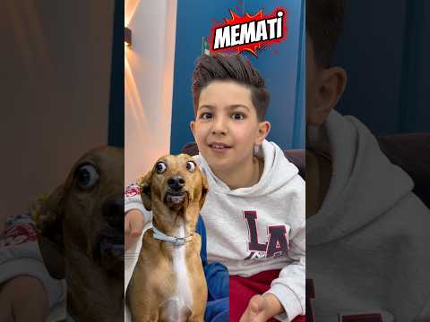 Kızların vs erkeklerin köpeklerine koyduğu isimler thumbnail