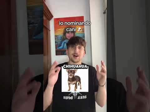 Cani ? ? Gatti ? #humor thumbnail