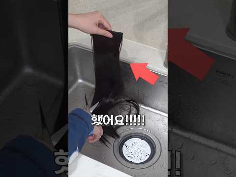 내가 실패한 이유 thumbnail