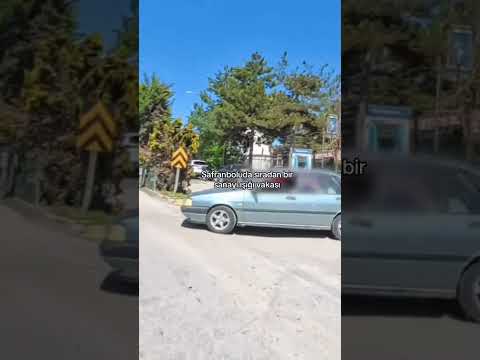 Popülasyonun %80 İ Maalesef #foryourpage #motovolgger #shortvideo #smartphone #motovlo #kesfet thumbnail