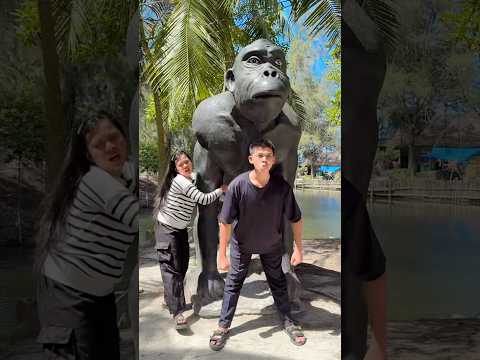 Itu kingkong raksasa apa patung!!! #fypシ #shorts thumbnail