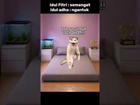 pindah tempat tidur doang jirr 🗿 #iduladha #memes #cat #kocak #hiburan thumbnail
