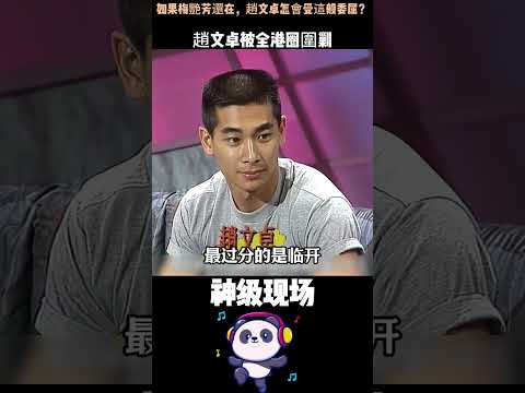 如果梅艷芳還在，誰敢欺負趙文卓？13年前被甄子丹踢出劇組，他連個撐腰的人都沒有。從「此生摯愛」到孤軍奮戰，結局讓全網破防。#趙文卓 #甄子丹 #人物故事 #Shorts thumbnail