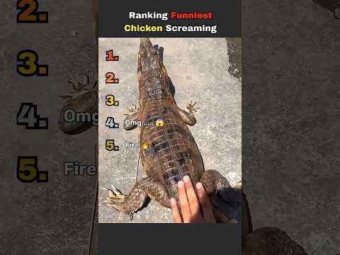 DON'T CHECK THE SOUND ?? thumbnail