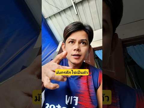 มังกรฟักไข่เป็นตัวสีเขียวน่ารักน่าชังมันไปได้ด้วย #บังเอิญเจอ #funny #comedy #การแสดงเท่านั้น thumbnail
