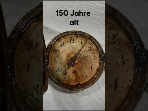 SILBER FUND im Wald thumbnail