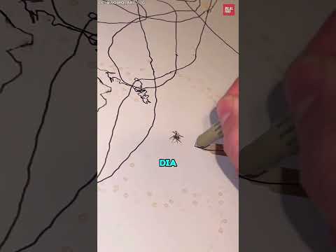 Laba-laba ini Gak Sengaja Menciptakan Sebuah Karya Seni yang Berharga thumbnail
