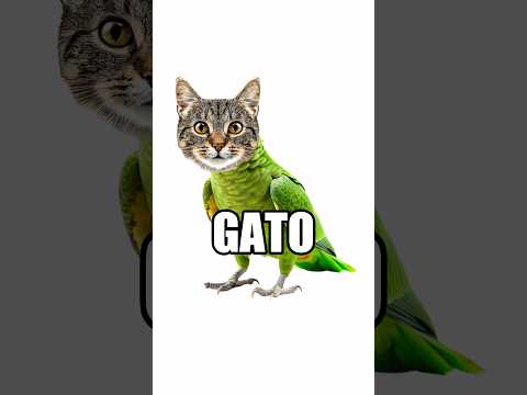 Adivina el Animal con Una Imagen ? thumbnail
