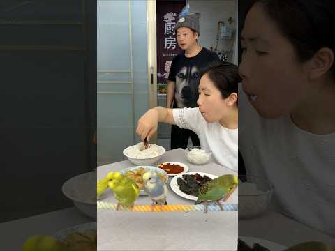 平平淡淡一餐饭😘🥰🍗美食美味 thumbnail