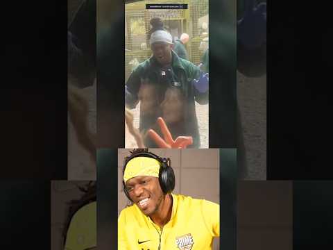 KSI In The Zoo 😭 thumbnail