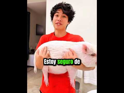 Stokes Twins Qué Animal Odia Más el Agua😳 thumbnail