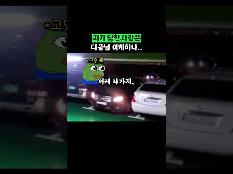 저거 당한사람은 다음날 어케하냐.. thumbnail