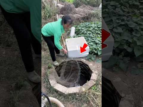 Người phụ nữ kéo lưới trúng đầy cá lớn #shorts thumbnail