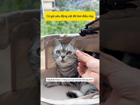 Cô gái bí mật làm điều này với mèo con thumbnail