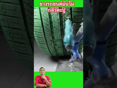 ยางไม่กลัวตะปู thumbnail