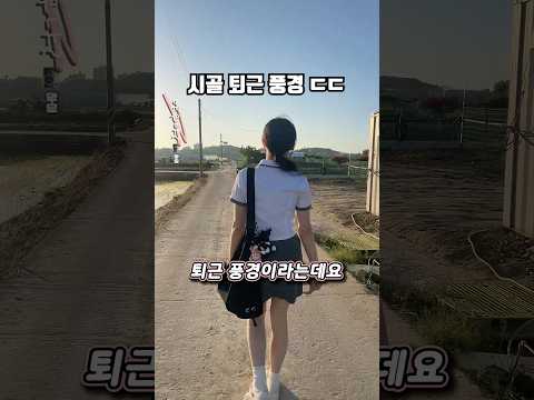 대한민국 시골 고등학교 퇴근 풍경 ㄷㄷ thumbnail