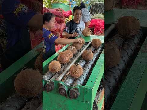 Unique Coconut Peeling Machine - Fruit Cutting Skills thumbnail