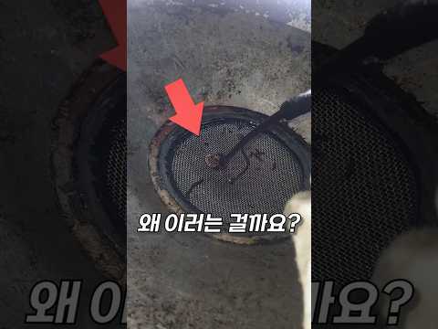???: 뭐야 이거 왜 움직여요? thumbnail