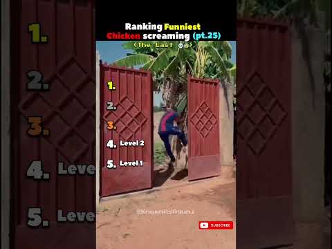 Ranking Funniest Chicken Screaming (Part 25) 🤣 thumbnail