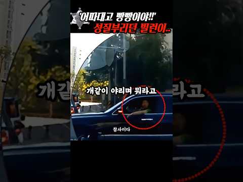 '어따대고 빵빵이야!!' 클락션 소리에 노려보던 전방주시태만 빌런 참교육 thumbnail