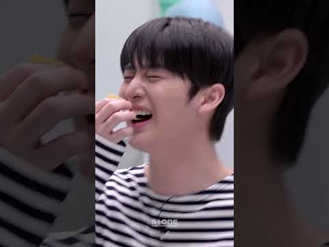 [워너원고 : 백투베이스 OST] Wanna One (워너원) - 다시, 봄바람 (Spring Breeze, Again) MV｜#Shorts thumbnail