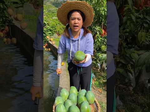Chinese aunty का पीले रसीले हरा आम ☹️🥭... #shorts  #shortvideo #mango #chinese  #viralshorts thumbnail