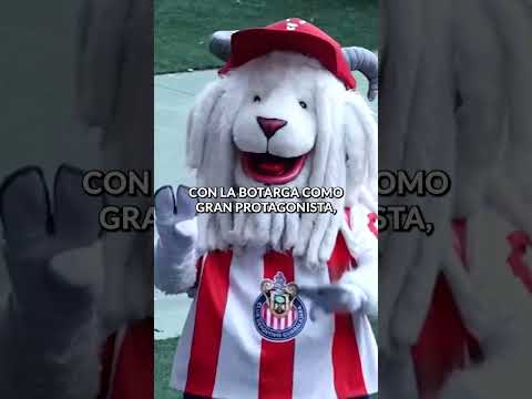 ¡El Rebaño siente el apoyo de su gente! ?? thumbnail