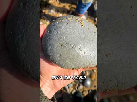 수백만 년 동안 기다린 돌 thumbnail