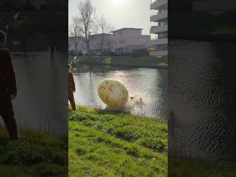 🚨 XXL EI GESTOLEN?! 🥚💨De @jamin  Egg Hunt start in de nacht van 26 op 27 maart om 00:00 ⏰ #ad thumbnail