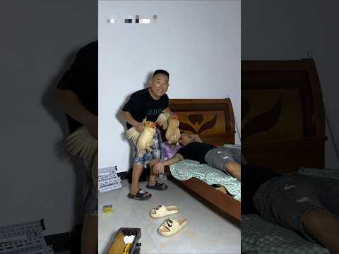 🐔 मुर्गी Prank Gone Wrong! 😂 #shorts #botnetwork #comedy thumbnail