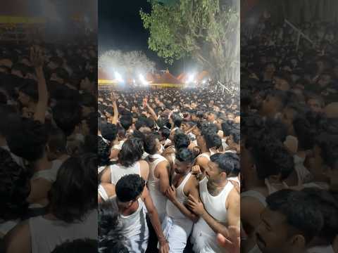 തടപൊളിച്ചു പാചൽ ? അണ്ടലൂർ കാവ് തിറ thumbnail