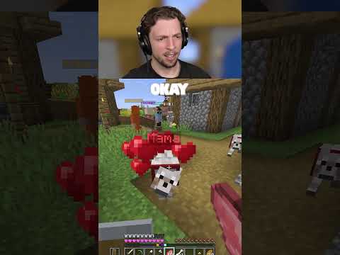Slogo and Bork Reunited ❤️ thumbnail
