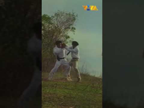 Cesar Montano, ipagtanggol mo! #shorts #movieclips #vivafilms thumbnail