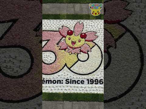 Pokémon Shorts - Making a Giant Pokémon Picture Using Flowers!  - #PokemonFunVideo #PokemonKidsTV​ thumbnail